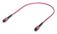 Ubiquiti Indoor OM4 multi-mode fiber