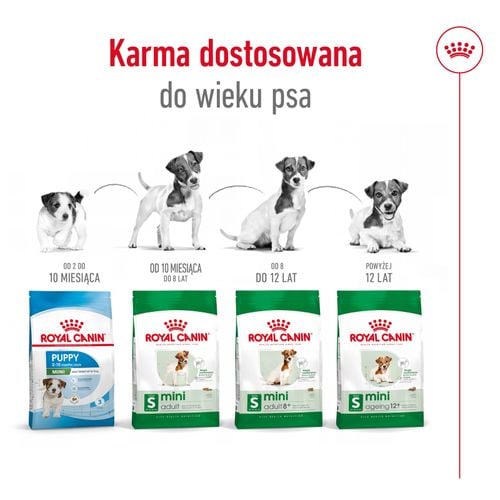 royal canin mini adult 4kg na Arena.pl