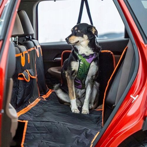 MATA DLA PSA DO SAMOCHODU OCHRONNA UNIWERSALNA POKROWIEC 4W1 SAMOCHODOWA na Arena.pl