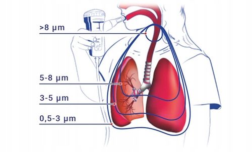 NEBULIZATOR ZESTAW DO NEBULIZACJI INHALACJI 2 MASKI NOVAMA FAMILINO RF8 EVO na Arena.pl