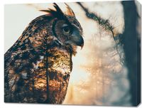 Obraz 90x70cm Sowi Duch