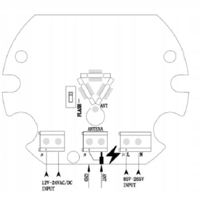 Kogut LAMPA LED Z ANTENĄ odpowiednik FAAC,NICE,CAME na Arena.pl