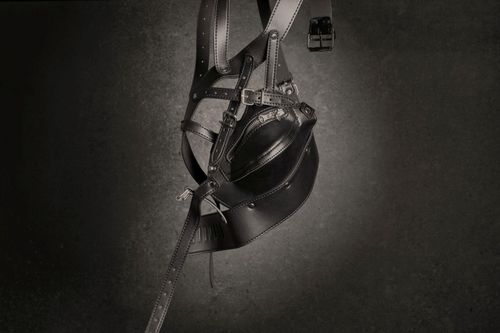 head harness with zip up mouth and lock   black na Arena.pl