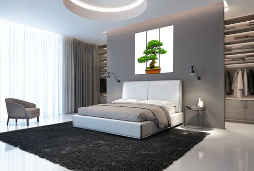 Fotoobraz 90X80 Bonsai na Arena.pl