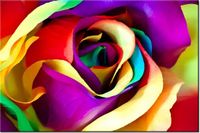 100 70CM OBRAZ PŁÓTNO MAJSTERSZTYK PŁÓTNO RAMA