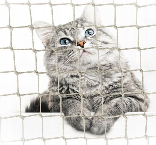 ZESTAW SIATKA NA BALKON DLA KOTA 6x2 BEZ WIERCENIA MARKA BEZPIECZNE KOTY na Arena.pl