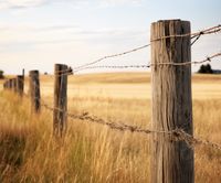 Plakat 60x50cm Płot na Polu