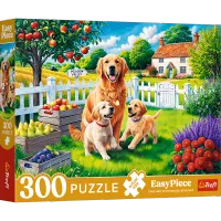 ND01_248023 PUZZLE 300 Senior EasyPiece Pieski na