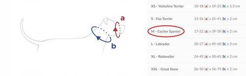 amiplay Obroża Uzdowa Halter Basic M Czarna na Arena.pl