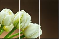 60 90CM OBRAZ 3 ELEM BIAŁE TULIPANY DRUK PŁÓTNO RAMA