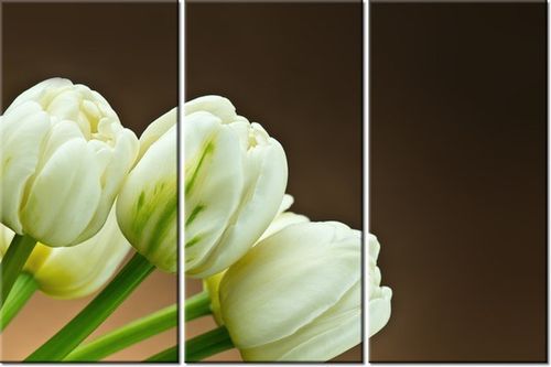 60 90CM OBRAZ 3 ELEM BIAŁE TULIPANY DRUK PŁÓTNO RAMA na Arena.pl