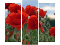 90 80CM OBRAZ T3 ELEM MAKI DUNCAN DRUK ŚCIENNY