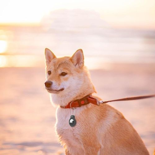 Etui / brelok Tech-Protect do Apple AirTag, wytrzymały pokrowiec, case 2szt na Arena.pl