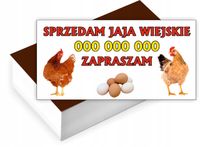 Wizytówki firmowe Foliowane 1000 szt duży wybór JAJA WIEJSKIE SPRZEDAŻ