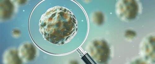 Tabletki biologiczne do szamba 12 + 4szt GRATIS na Arena.pl