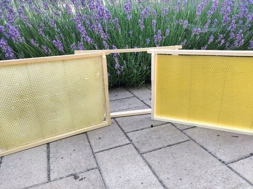 Węza pszczela WIELKOPOLSKA Łysoń 1 kg BADANA naturalny Wosk Pszczeli - na Arena.pl