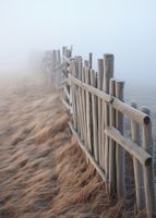 product-compare-59357645