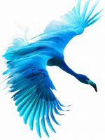 Plakat 75x100cm Błękitny Lot