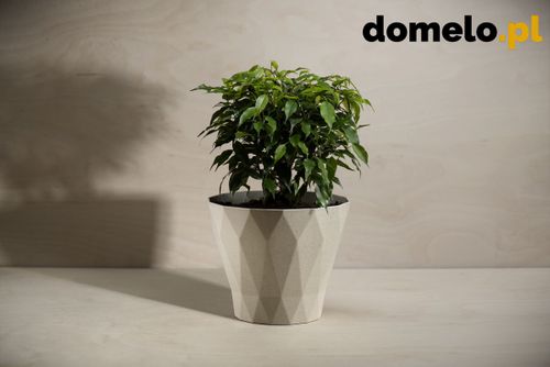 DONICZKA DELTA 200 A2 na Arena.pl