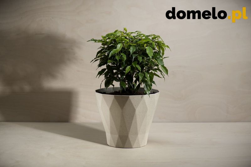 DONICZKA DELTA 200 A2 zdjęcie 6