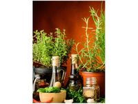 50X70CM PRZYPRAWY ZIOŁOWE OBRAZ PION ŚCIAN