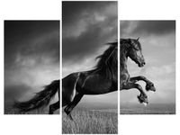 product-compare-58711065