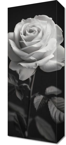 Obraz 20x50cm Płatki Róż zdjęcie 1