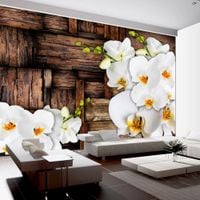 Fototapeta - Kwitnące orchidee 100x70