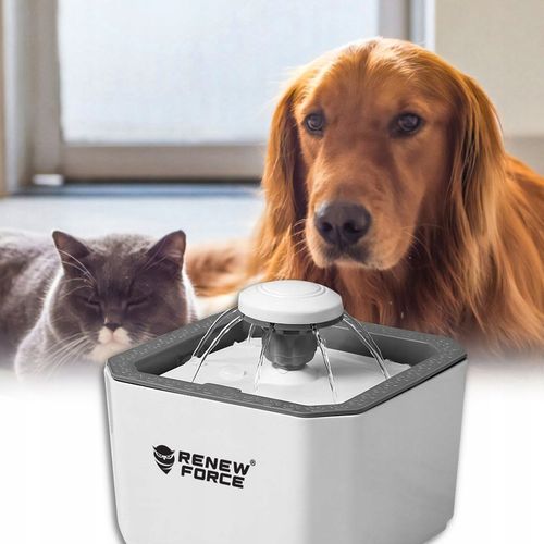 POIDEŁKO FONTANNA AUTOMATYCZNA DLA KOTA PSA ZWIERZĄT POIDŁO MISKA 2,5L na Arena.pl