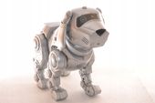 TEKNO PIES ROBOT