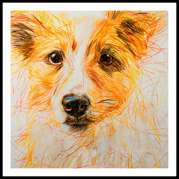 Plakat 90x90cm Uroczy Gość zdjęcie 3