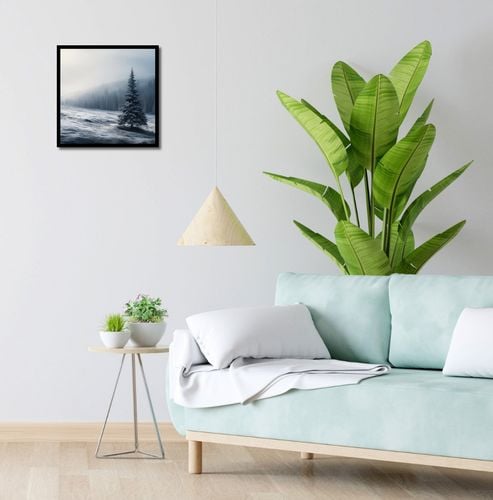 Plakat 40x40cm Samotna Choinka na Arena.pl