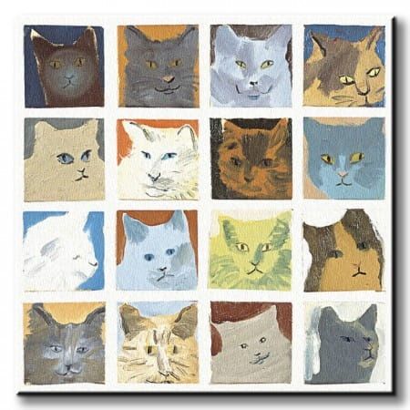 Cats Koty - Obraz na płótnie 40x40 cm na Arena.pl
