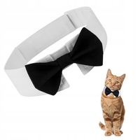 MUCHA DLA PSA KOTA Uniwersalna na rzep IMPREZOWY rozmiar S