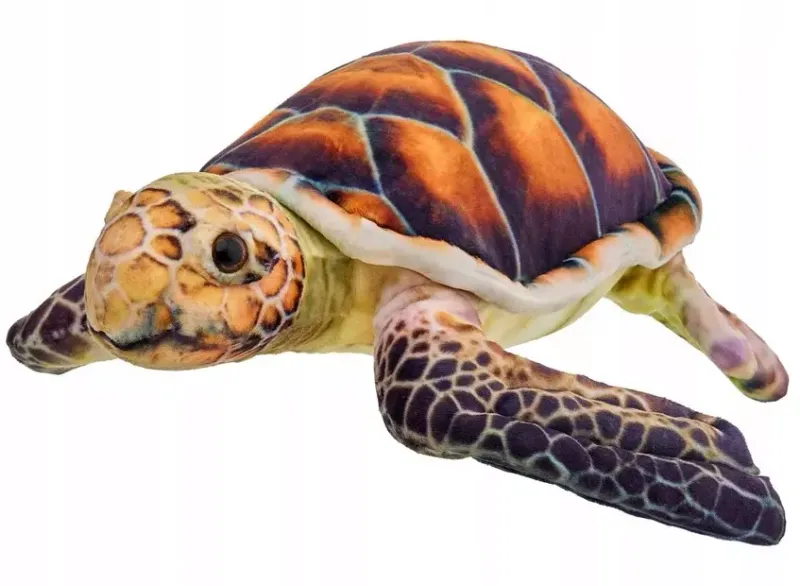 Żółw brązowy 28cm zdjęcie 1