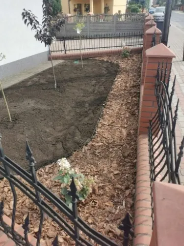 Trawa UNIWERSALNA nasiona trawy SAMOZAGĘSZCZAJĄCA odporna na DEPTANIE 5kg na Arena.pl