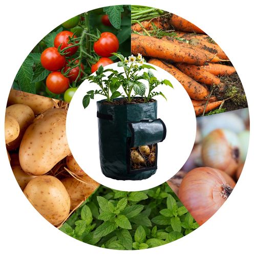 Worek do uprawy warzyw 43 l Plonos PL-964 na Arena.pl