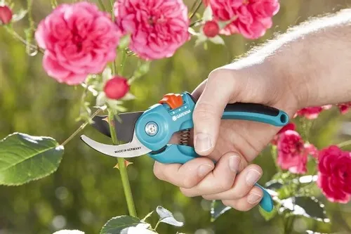 Sekator nożyce ogrodowy GARDENA Classic B/S-M na Arena.pl