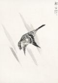 Plakat 21x29,7cm  Cuckoo, Kashu Japoński Vintage do Salonu