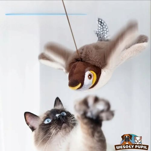 Zabawka dla kota INTERAKTYWNA latający PTAK z dźwiękiem na USB z na Arena.pl