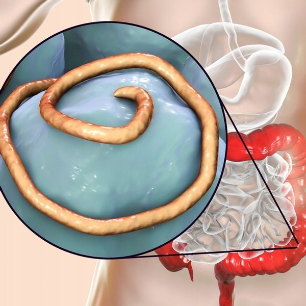 NEEMX- STOP PARASITE- 2 RAZY SILNIEJSZA MOC- USUWA WSZYSTKIE PASOŻYTY 400mg zdjęcie 5