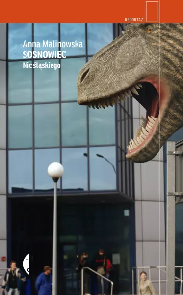 Sosnowiec. Nic śląskiego zdjęcie 1