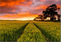 100 70CM OBRAZ PŁÓTNO FAR FAR AWAY JONATHAN COMBE PŁÓTNO RAMA