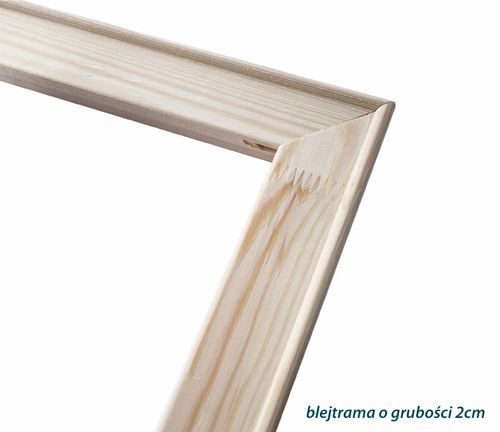 OBRAZ NA PŁÓTNIE Szop 30x30cm na Arena.pl