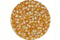 Popcorn Ziarno Kukurydza do prażenia 10kg ARGENTYNA