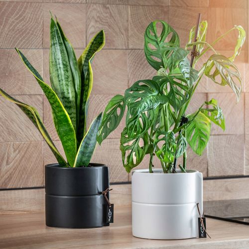 DONICZKA OSŁONKA DONICA CERAMICZNA KOLORY 13CM na Arena.pl