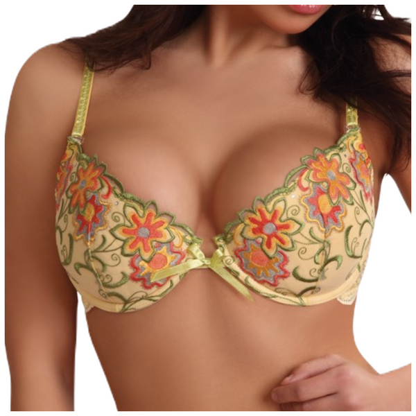 BIUSTONOSZ PUSH-UP STANIK EVANA LIVCO 70C zdjęcie 1