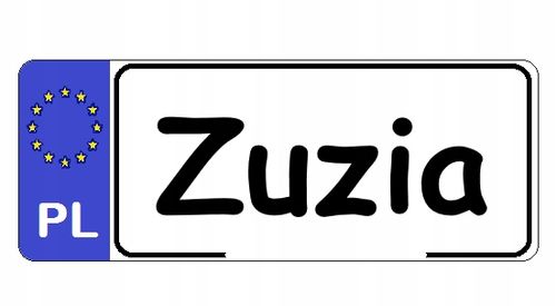 SimplyGo CHODZIK DLA DZIECKA PCHACZ 2w1 EDUKACYJNY na Arena.pl