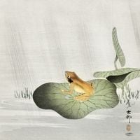 Plakat 90x90cm Frog on Lotus Leaf, Koson Japoński Vintage do Salonu