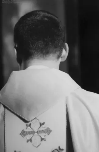 Sens. O tym co wzmacnia na Arena.pl